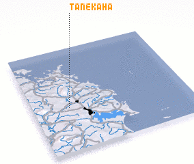 3d view of Tanekaha