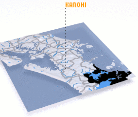 3d view of Kanohi