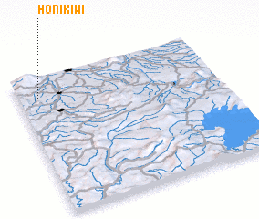 3d view of Honikiwi