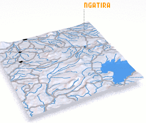 3d view of Ngatira