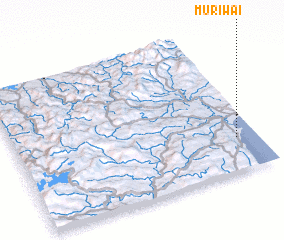 3d view of Muriwai