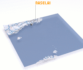 3d view of Naselai