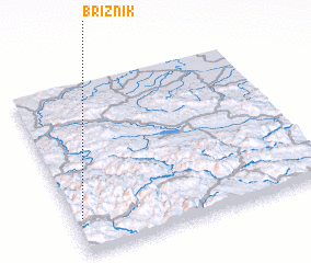 3d view of Briznik