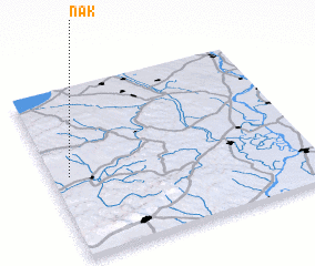 3d view of Nak