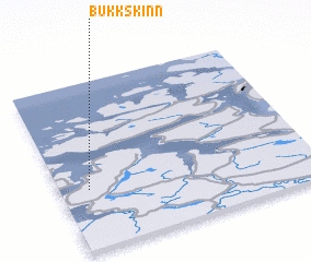 3d view of Bukkskinn