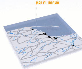 3d view of Małe Liniewo