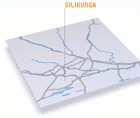 3d view of Silikunga