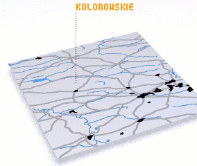 3d view of Kolonowskie