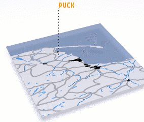 3d view of Puck