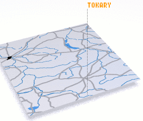 3d view of Tokary