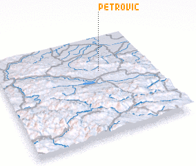 3d view of Petrović