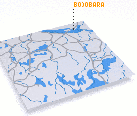 3d view of Bodobara