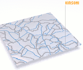 3d view of Kinsomi