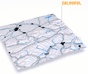 3d view of Salmopol