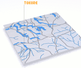 3d view of Tokoré