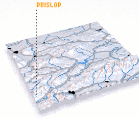 3d view of Prislop