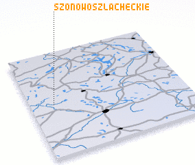 3d view of Szonowo Szlacheckie