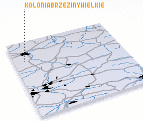 3d view of Kolonia Brzeziny Wielkie