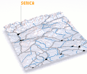 3d view of Senica