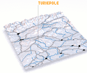 3d view of Turie Pole