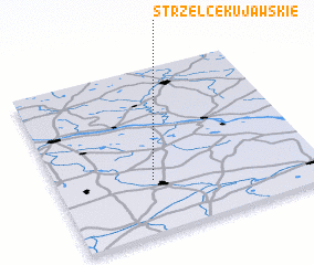 3d view of Strzelce Kujawskie