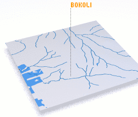 3d view of Bokoli