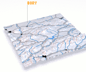 3d view of Bory