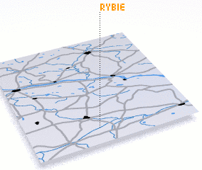 3d view of Rybie