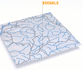 3d view of Bokwale