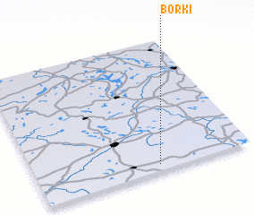 3d view of Borki