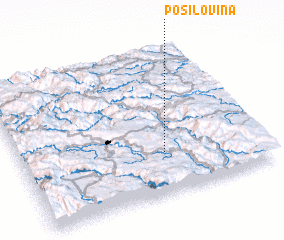 3d view of Posilovina