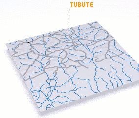 3d view of Tubute