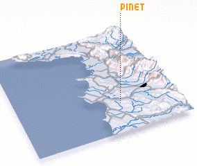 3d view of Pinet