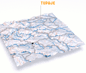 3d view of Tupaje