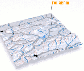 3d view of Tokarnia