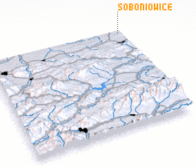 3d view of Soboniowice