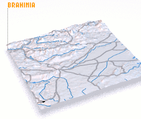 3d view of Brahimia