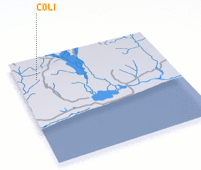 3d view of Coli