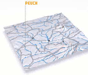 3d view of Peuch