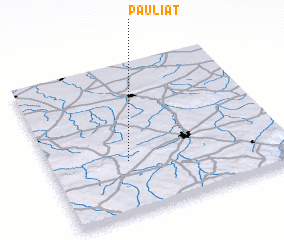 3d view of Pauliat