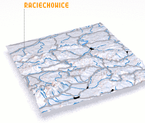 3d view of Raciechowice