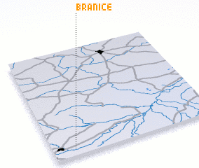 3d view of Branice
