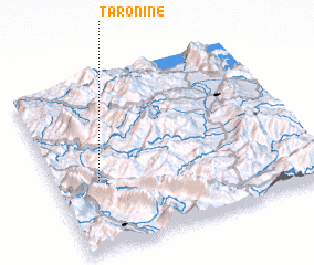 3d view of Taroninë