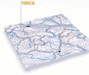3d view of Turica