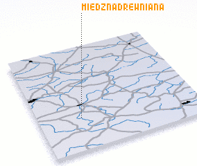 3d view of Miedzna Drewniana