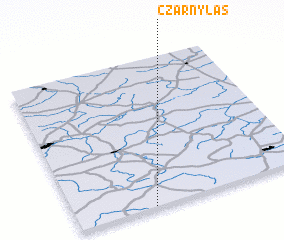 3d view of Czarny Las