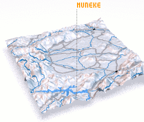 3d view of Munekë