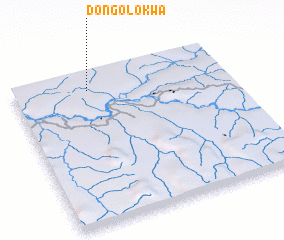 3d view of Dongolokwa