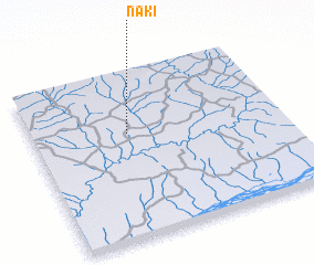 3d view of Naki