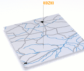 3d view of Kózki